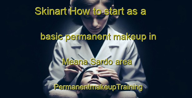 Skinart How to start as a basic permanent makeup in Meana Sardo area | PermanentmakeupTraining | PermanentmakeupClasses | SkinartTraining-Italy