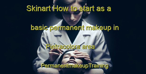 Skinart How to start as a basic permanent makeup in Pietracolora area | PermanentmakeupTraining | PermanentmakeupClasses | SkinartTraining-Italy