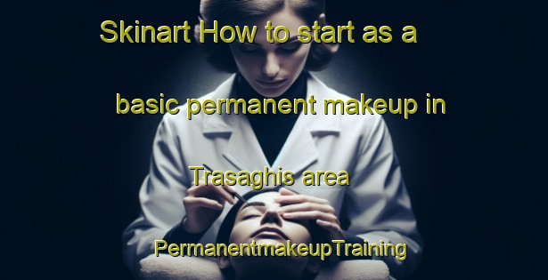 Skinart How to start as a basic permanent makeup in Trasaghis area | PermanentmakeupTraining | PermanentmakeupClasses | SkinartTraining-Italy