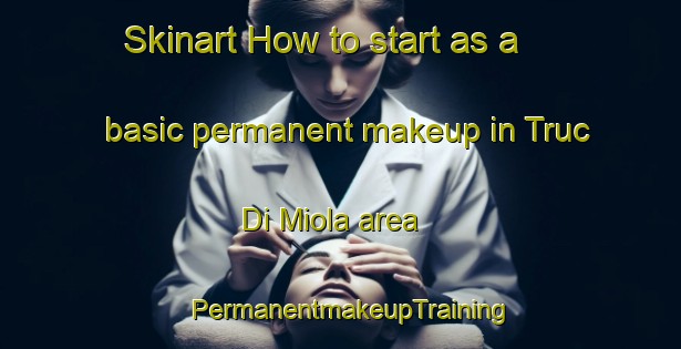 Skinart How to start as a basic permanent makeup in Truc Di Miola area | PermanentmakeupTraining | PermanentmakeupClasses | SkinartTraining-Italy