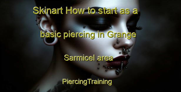 Skinart How to start as a basic piercing in Grange Sarmicel area | PiercingTraining | PiercingClasses | SkinartTraining-Italy