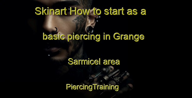 Skinart How to start as a basic piercing in Grange Sarmicel area | PiercingTraining | PiercingClasses | SkinartTraining-Italy