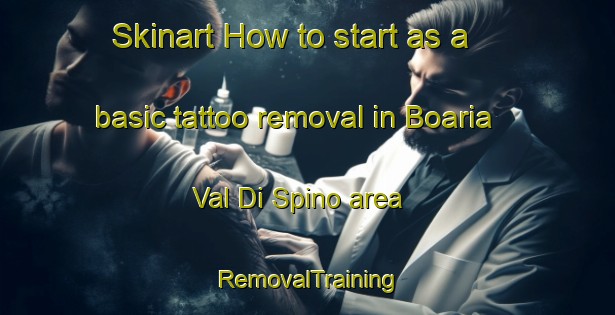 Skinart How to start as a basic tattoo removal in Boaria Val Di Spino area | RemovalTraining | RemovalClasses | SkinartTraining-Italy
