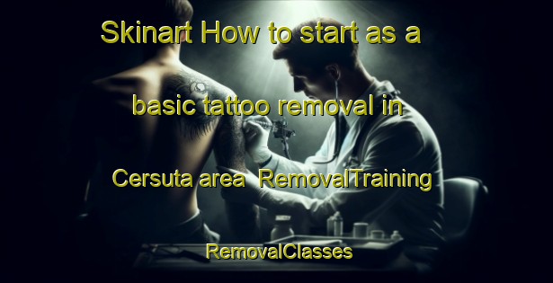 Skinart How to start as a basic tattoo removal in Cersuta area | RemovalTraining | RemovalClasses | SkinartTraining-Italy