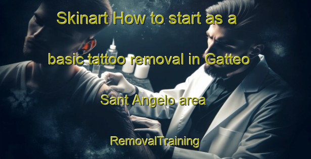 Skinart How to start as a basic tattoo removal in Gatteo Sant Angelo area | RemovalTraining | RemovalClasses | SkinartTraining-Italy
