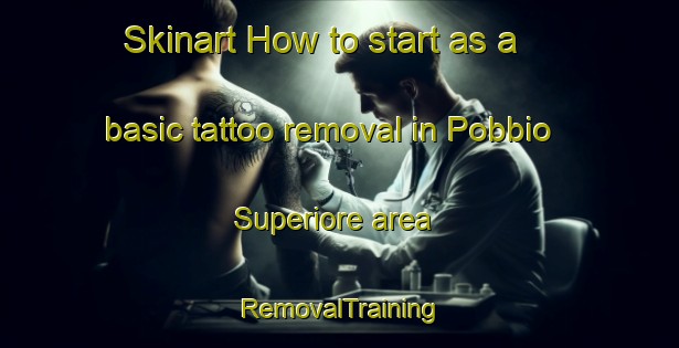 Skinart How to start as a basic tattoo removal in Pobbio Superiore area | RemovalTraining | RemovalClasses | SkinartTraining-Italy
