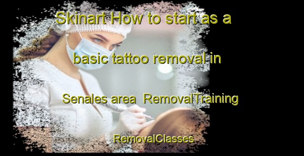 Skinart How to start as a basic tattoo removal in Senales area | RemovalTraining | RemovalClasses | SkinartTraining-Italy