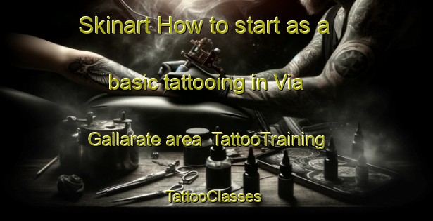 Skinart How to start as a basic tattooing in Via Gallarate area | TattooTraining | TattooClasses | SkinartTraining-Italy