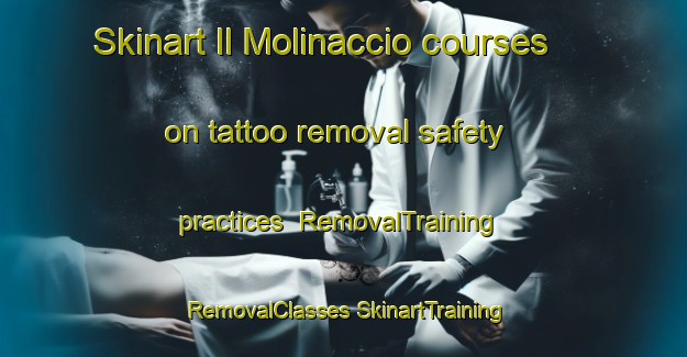 Skinart Il Molinaccio courses on tattoo removal safety practices | #RemovalTraining #RemovalClasses #SkinartTraining-Italy