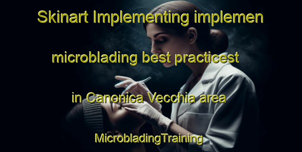 Skinart Implementing implemen microblading best practicest in Canonica Vecchia area | #MicrobladingTraining #MicrobladingClasses #SkinartTraining-Italy