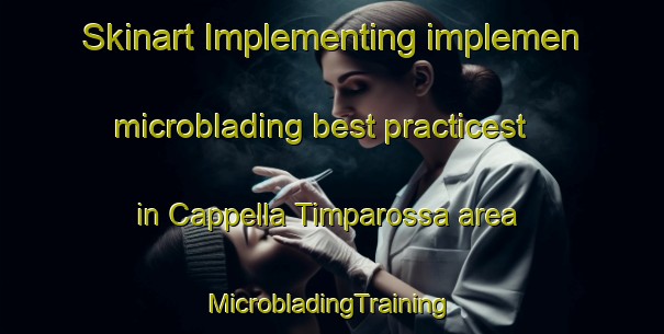 Skinart Implementing implemen microblading best practicest in Cappella Timparossa area | #MicrobladingTraining #MicrobladingClasses #SkinartTraining-Italy