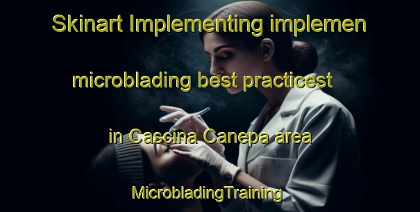 Skinart Implementing implemen microblading best practicest in Cascina Canepa area | #MicrobladingTraining #MicrobladingClasses #SkinartTraining-Italy