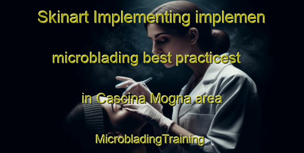 Skinart Implementing implemen microblading best practicest in Cascina Mogna area | #MicrobladingTraining #MicrobladingClasses #SkinartTraining-Italy