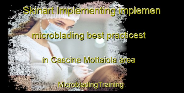 Skinart Implementing implemen microblading best practicest in Cascine Mottaiola area | #MicrobladingTraining #MicrobladingClasses #SkinartTraining-Italy