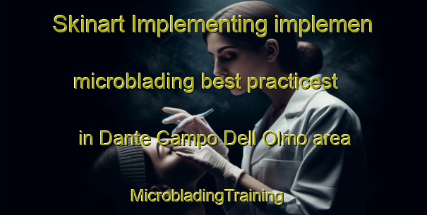 Skinart Implementing implemen microblading best practicest in Dante Campo Dell Olmo area | MicrobladingTraining | MicrobladingClasses | SkinartTraining-Italy