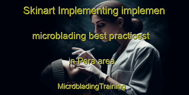 Skinart Implementing implemen microblading best practicest in Pera area | MicrobladingTraining | MicrobladingClasses | SkinartTraining-Italy