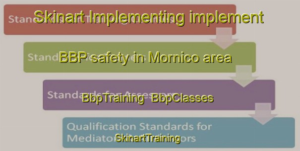Skinart Implementing implement BBP safety in Mornico area | BbpTraining | BbpClasses | SkinartTraining-Italy