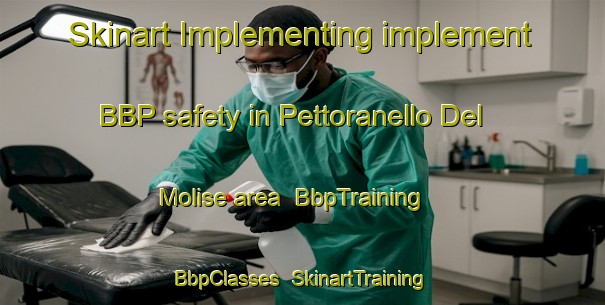 Skinart Implementing implement BBP safety in Pettoranello Del Molise area | BbpTraining | BbpClasses | SkinartTraining-Italy