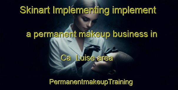 Skinart Implementing implement a permanent makeup business in Ca  Luise area | PermanentmakeupTraining | PermanentmakeupClasses | SkinartTraining-Italy