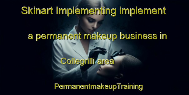 Skinart Implementing implement a permanent makeup business in Collegrilli area | #PermanentmakeupTraining #PermanentmakeupClasses #SkinartTraining-Italy