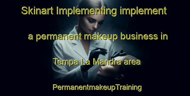 Skinart Implementing implement a permanent makeup business in Tempa La Mandra area | PermanentmakeupTraining | PermanentmakeupClasses | SkinartTraining-Italy