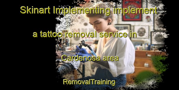 Skinart Implementing implement a tattoo removal service in Cardenosa area | RemovalTraining | RemovalClasses | SkinartTraining-Italy