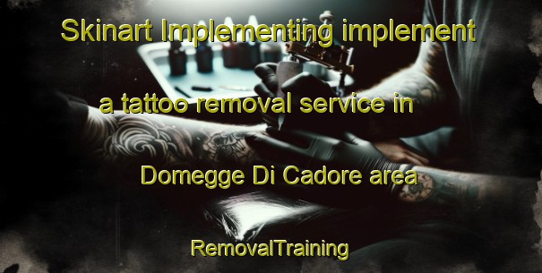 Skinart Implementing implement a tattoo removal service in Domegge Di Cadore area | RemovalTraining | RemovalClasses | SkinartTraining-Italy