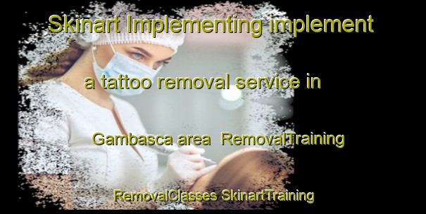 Skinart Implementing implement a tattoo removal service in Gambasca area | #RemovalTraining #RemovalClasses #SkinartTraining-Italy