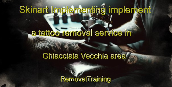Skinart Implementing implement a tattoo removal service in Ghiacciaia Vecchia area | RemovalTraining | RemovalClasses | SkinartTraining-Italy