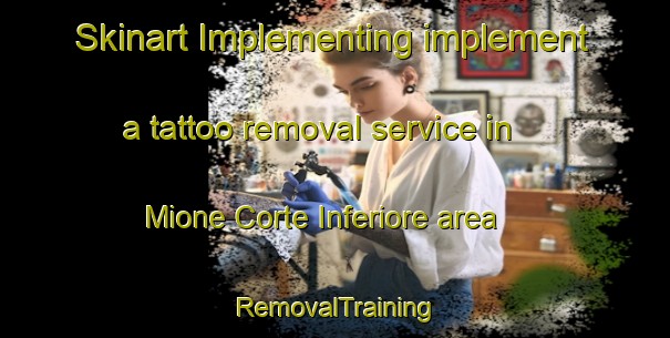 Skinart Implementing implement a tattoo removal service in Mione Corte Inferiore area | RemovalTraining | RemovalClasses | SkinartTraining-Italy