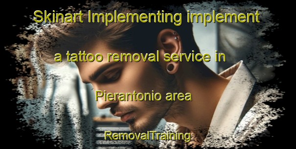 Skinart Implementing implement a tattoo removal service in Pierantonio area | RemovalTraining | RemovalClasses | SkinartTraining-Italy