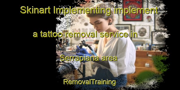 Skinart Implementing implement a tattoo removal service in Serrapiana area | RemovalTraining | RemovalClasses | SkinartTraining-Italy