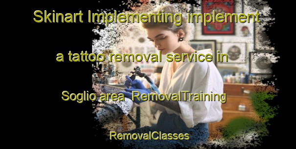 Skinart Implementing implement a tattoo removal service in Soglio area | RemovalTraining | RemovalClasses | SkinartTraining-Italy