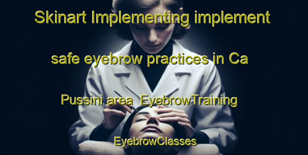 Skinart Implementing implement safe eyebrow practices in Ca  Pussini area | EyebrowTraining | EyebrowClasses | SkinartTraining-Italy