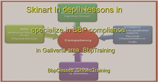 Skinart In-depth lessons in specialize in BBP compliance in Galiverta area | BbpTraining | BbpClasses | SkinartTraining-Italy