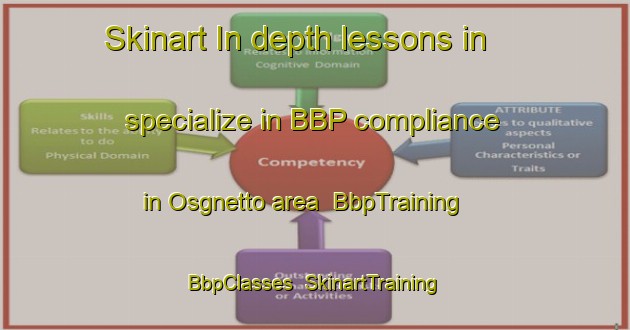 Skinart In-depth lessons in specialize in BBP compliance in Osgnetto area | BbpTraining | BbpClasses | SkinartTraining-Italy