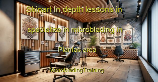 Skinart In-depth lessons in specialize in microblading in Piantas area | MicrobladingTraining | MicrobladingClasses | SkinartTraining-Italy