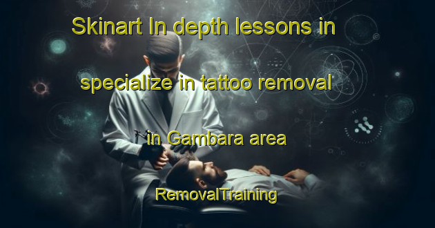 Skinart In-depth lessons in specialize in tattoo removal in Gambara area | RemovalTraining | RemovalClasses | SkinartTraining-Italy