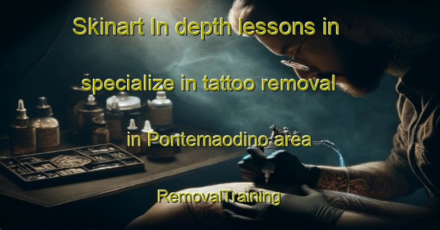 Skinart In-depth lessons in specialize in tattoo removal in Pontemaodino area | RemovalTraining | RemovalClasses | SkinartTraining-Italy