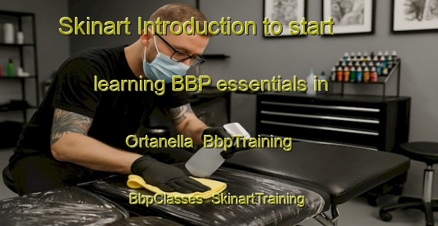 Skinart Introduction to start learning BBP essentials in Ortanella | BbpTraining | BbpClasses | SkinartTraining-Italy