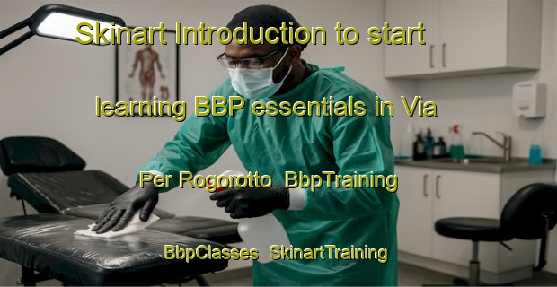 Skinart Introduction to start learning BBP essentials in Via Per Rogorotto | BbpTraining | BbpClasses | SkinartTraining-Italy
