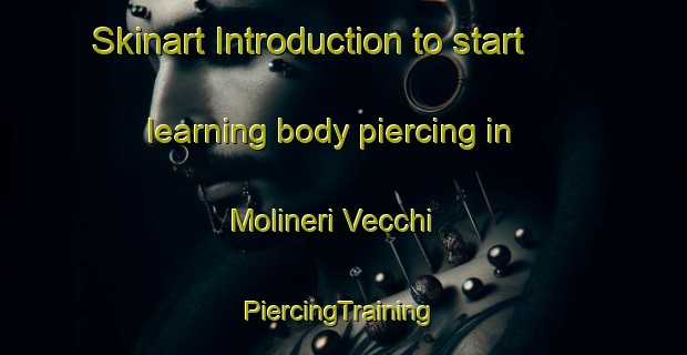 Skinart Introduction to start learning body piercing in Molineri Vecchi | #PiercingTraining #PiercingClasses #SkinartTraining-Italy