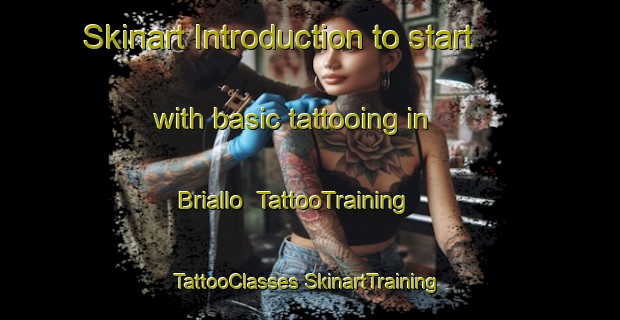 Skinart Introduction to start with basic tattooing in Briallo | #TattooTraining #TattooClasses #SkinartTraining-Italy