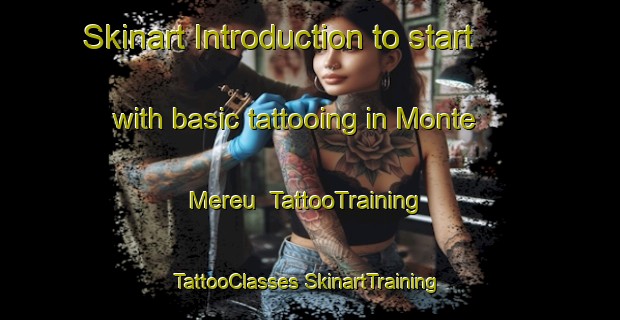 Skinart Introduction to start with basic tattooing in Monte Mereu | #TattooTraining #TattooClasses #SkinartTraining-Italy