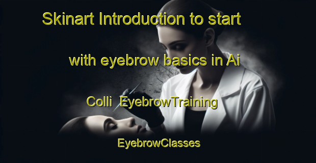 Skinart Introduction to start with eyebrow basics in Ai Colli | EyebrowTraining | EyebrowClasses | SkinartTraining-Italy