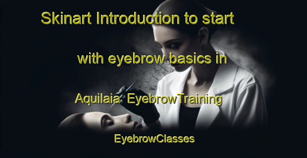 Skinart Introduction to start with eyebrow basics in Aquilaia | EyebrowTraining | EyebrowClasses | SkinartTraining-Italy