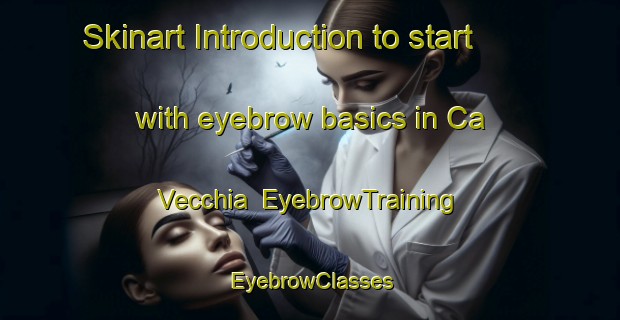 Skinart Introduction to start with eyebrow basics in Ca Vecchia | EyebrowTraining | EyebrowClasses | SkinartTraining-Italy