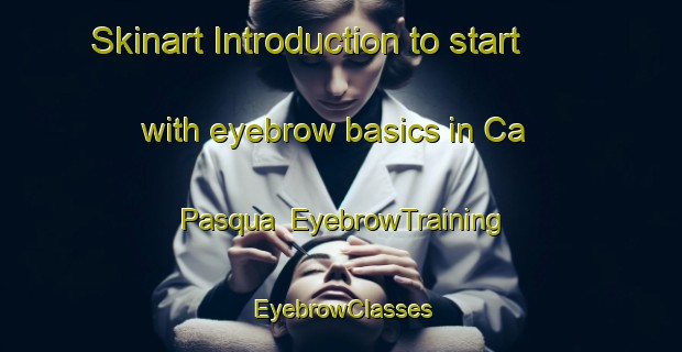 Skinart Introduction to start with eyebrow basics in Ca  Pasqua | EyebrowTraining | EyebrowClasses | SkinartTraining-Italy