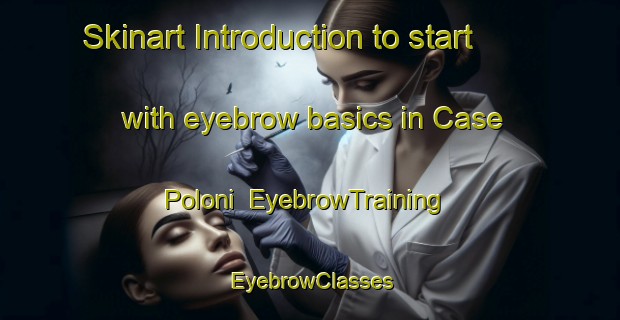 Skinart Introduction to start with eyebrow basics in Case Poloni | EyebrowTraining | EyebrowClasses | SkinartTraining-Italy