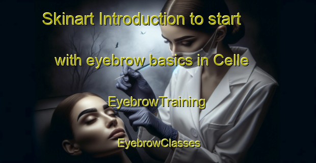 Skinart Introduction to start with eyebrow basics in Celle | EyebrowTraining | EyebrowClasses | SkinartTraining-Italy